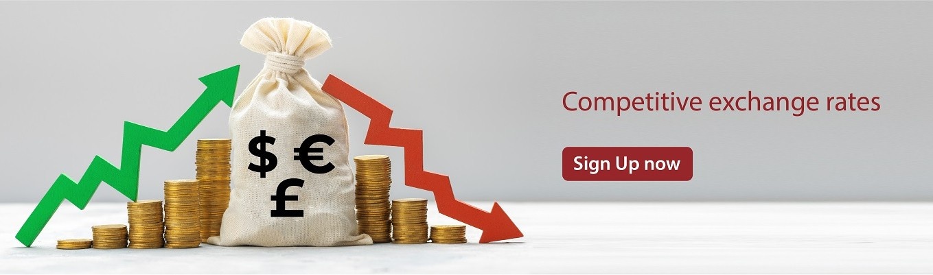 Competitive Exchange Rates
